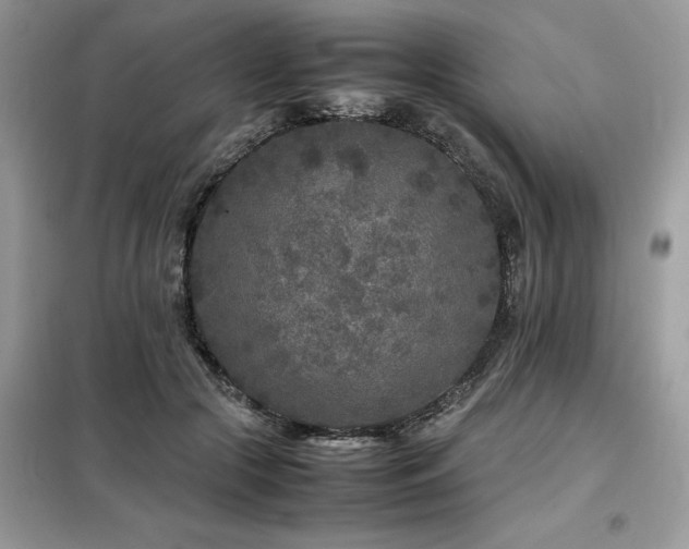X0000099460553200805091531