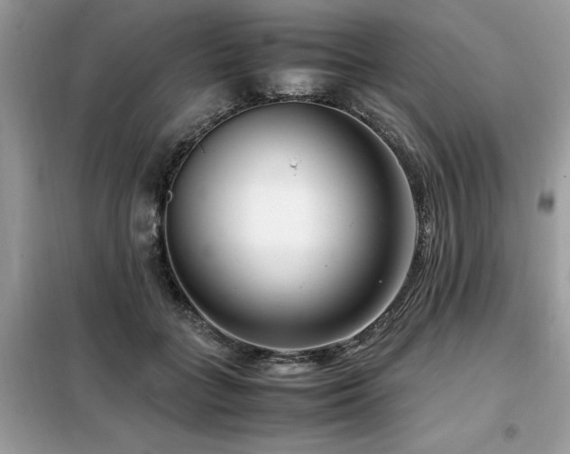X0000099460555200805091531