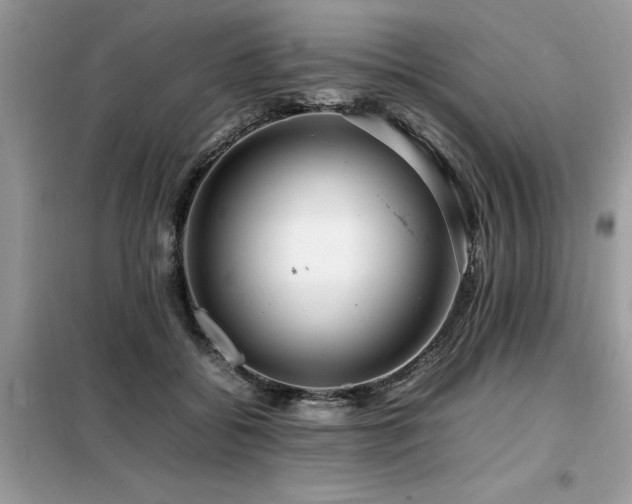 X0000099460556200805091531