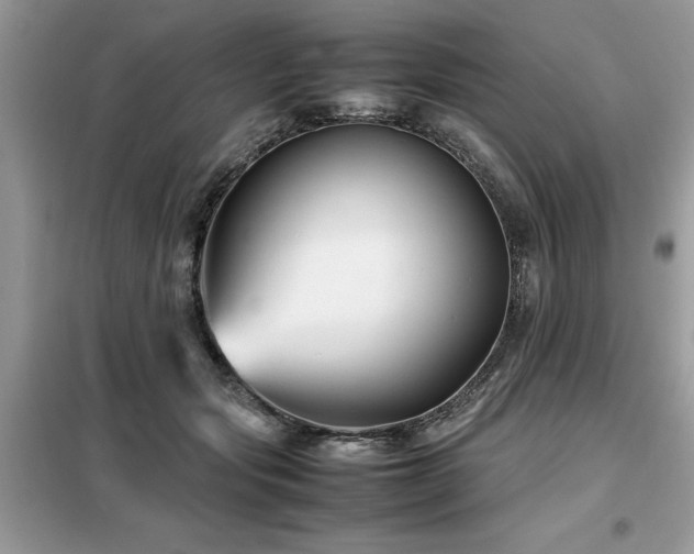 X0000099460557200805091531