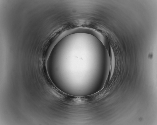 X0000099460558200805091531