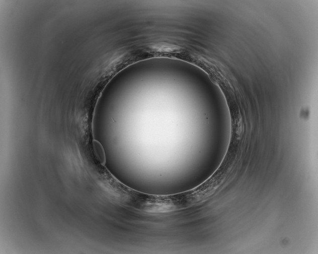 X0000099460559200805091531