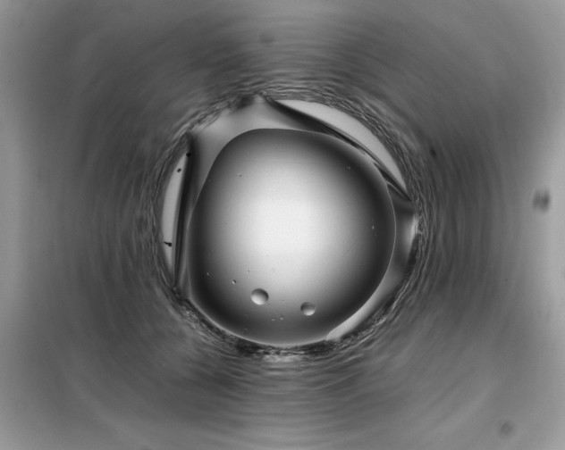 X0000099460560200805091531