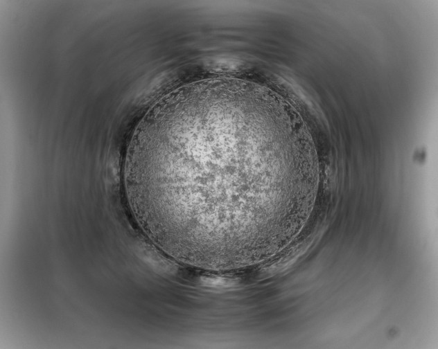 X0000099460561200805091531