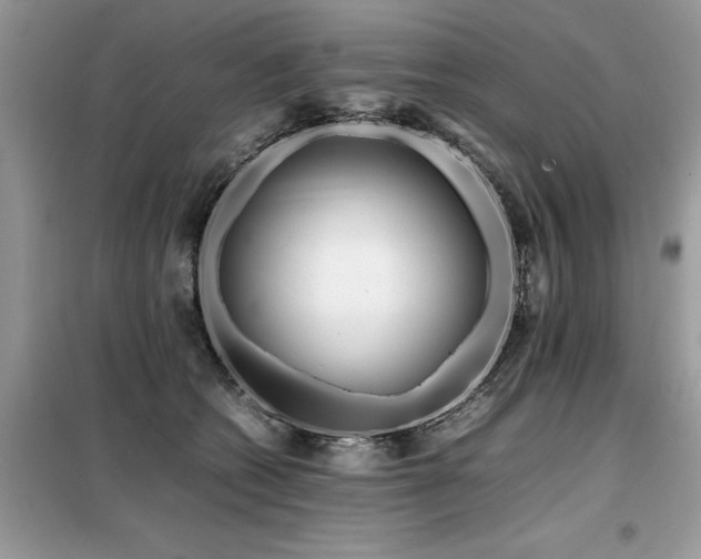 X0000099460562200805091531