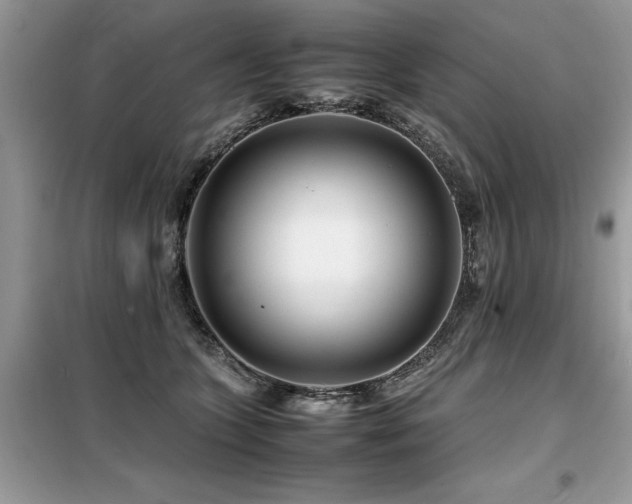 X0000099460563200805091531