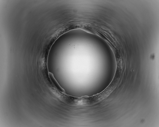 X0000099460564200805091531