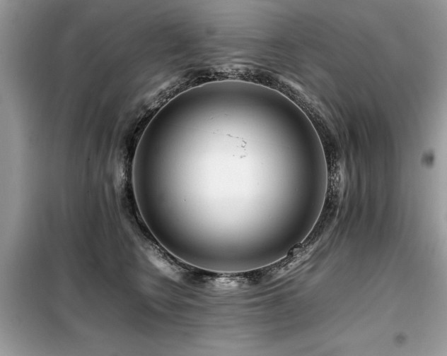 X0000099460566200805091531