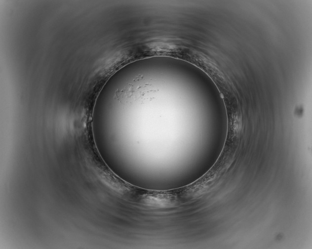 X0000099460567200805091531