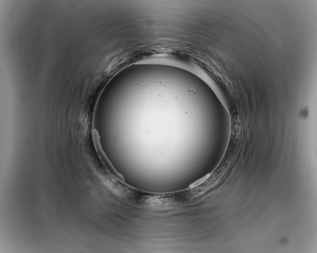 X0000099460568200805091531