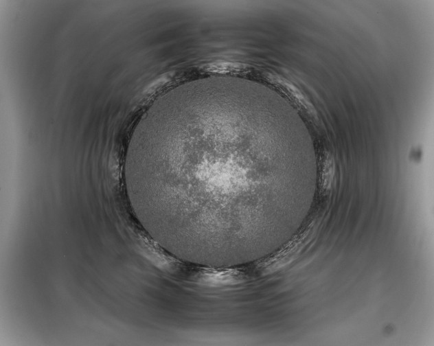 X0000099460569200805091531