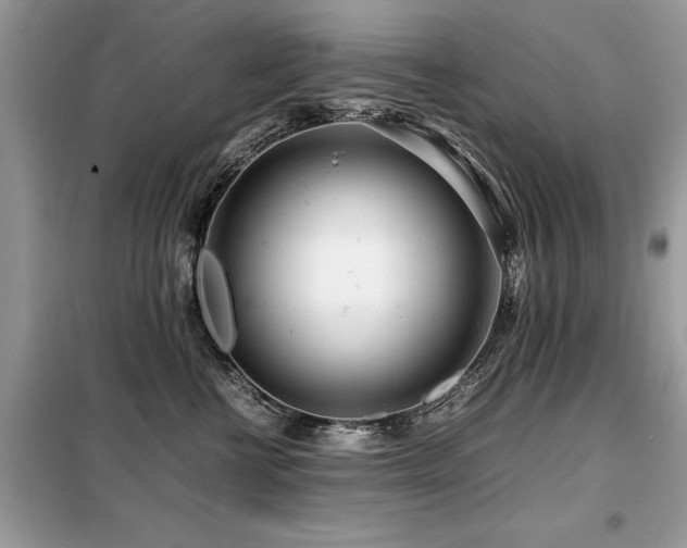 X0000099460570200805091531