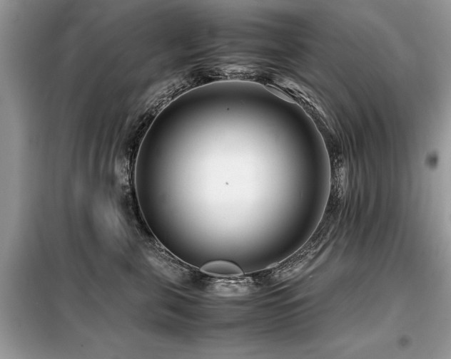 X0000099460571200805091531