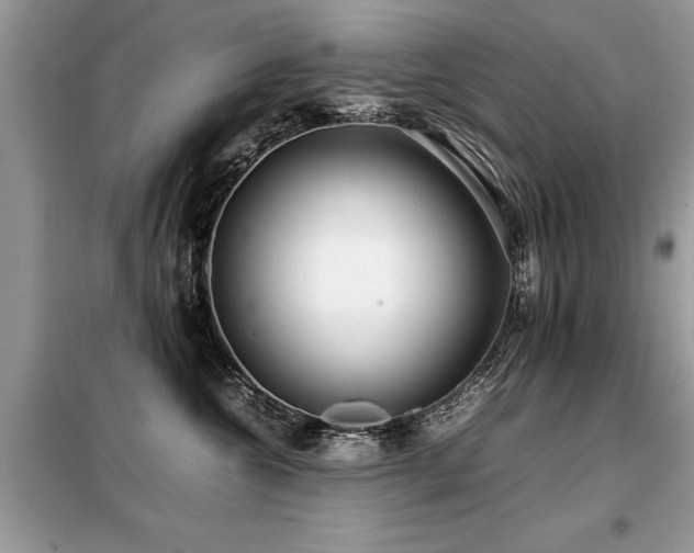 X0000099460572200805091531