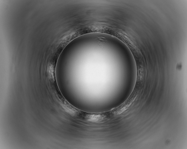 X0000099460575200805091531