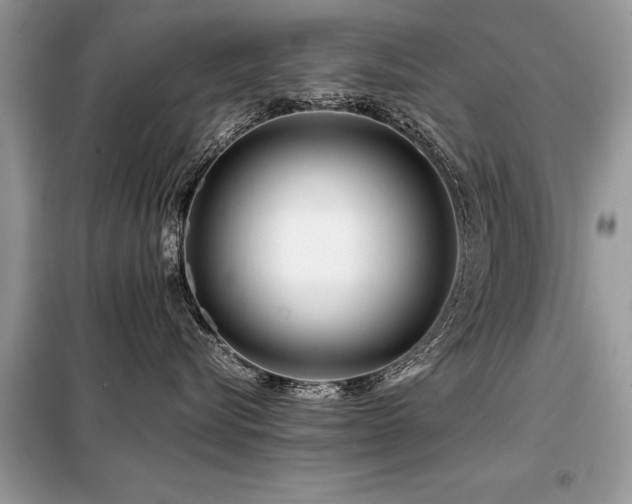 X0000099460576200805091531