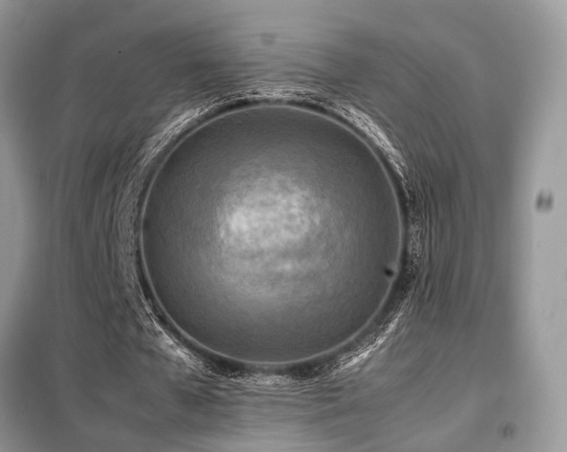 X0000099460577200805091531