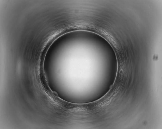 X0000099460578200805091531