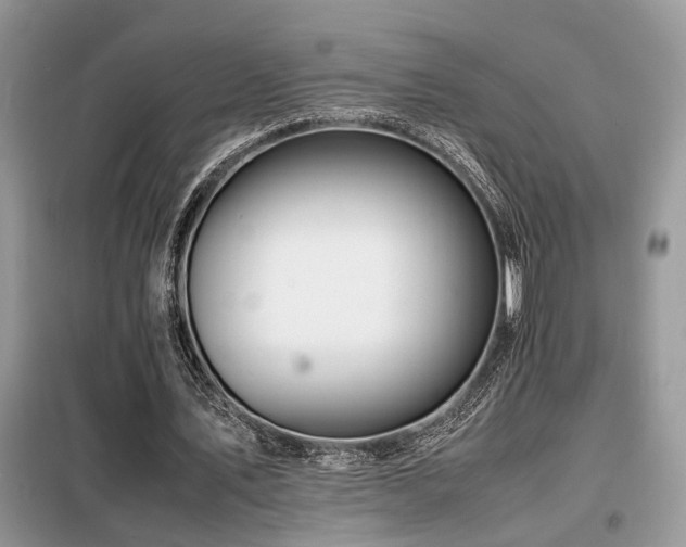 X0000099460579200805091531