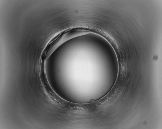 X0000099460580200805091531