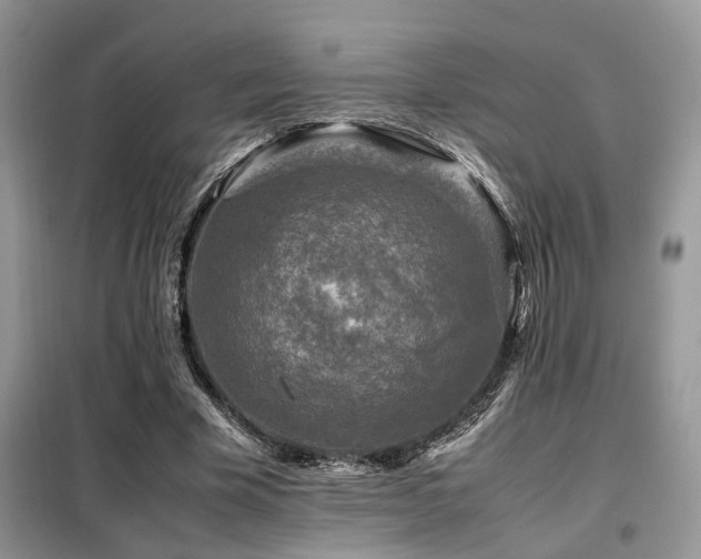 X0000099460585200805091530