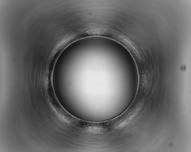 X0000099460586200805091530