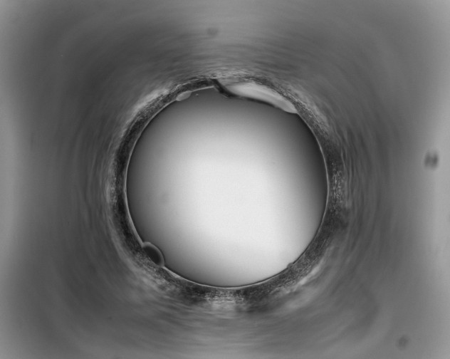 X0000099460587200805091530