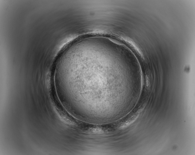 X0000099460588200805091530