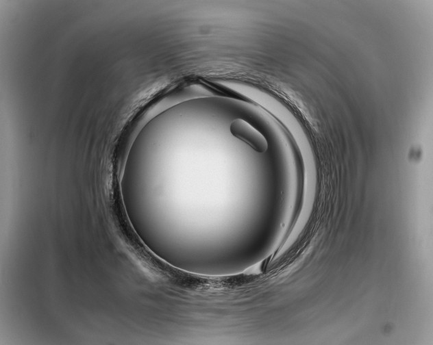 X0000099460589200805091530