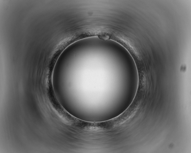 X0000099460590200805091530