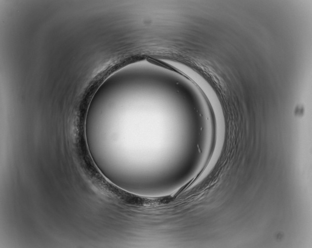X0000099460591200805091530