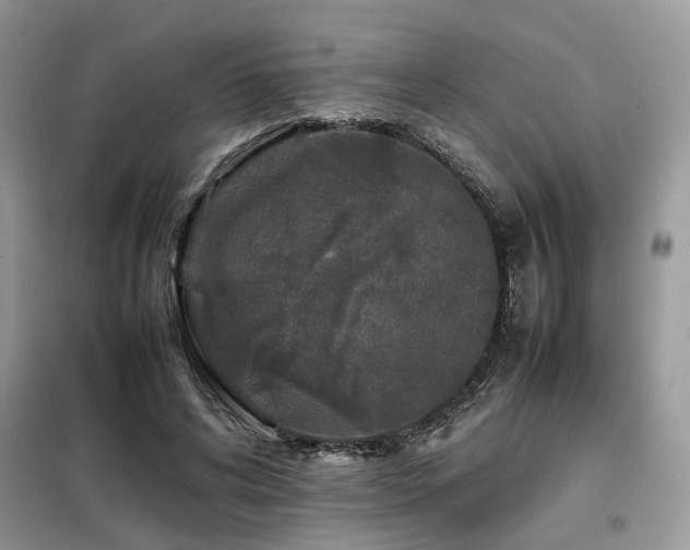 X0000099460592200805091530