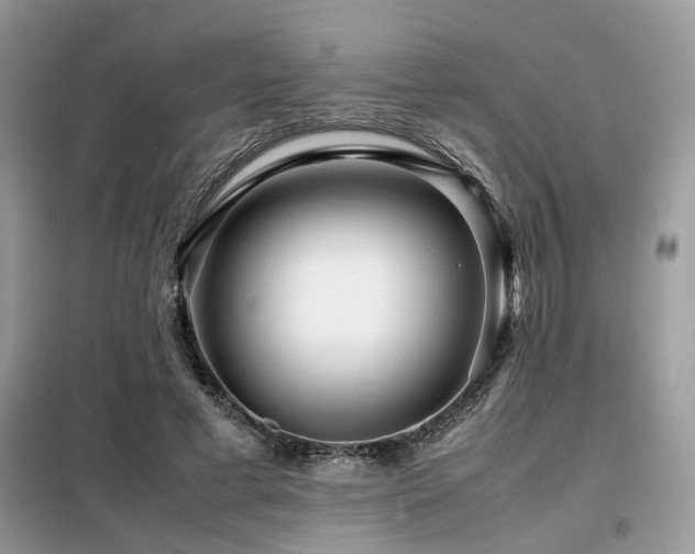 X0000099460593200805091530