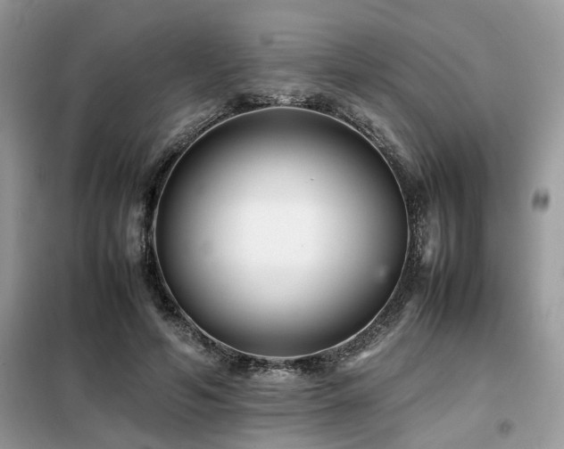 X0000099460594200805091530