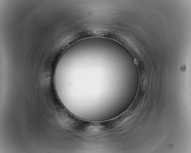 X0000099460595200805091530