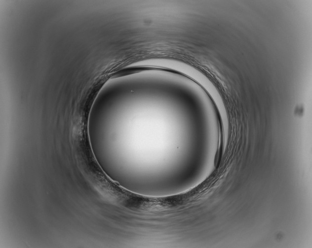 X0000099460597200805091530
