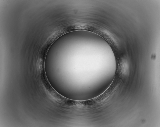 X0000099460598200805091530
