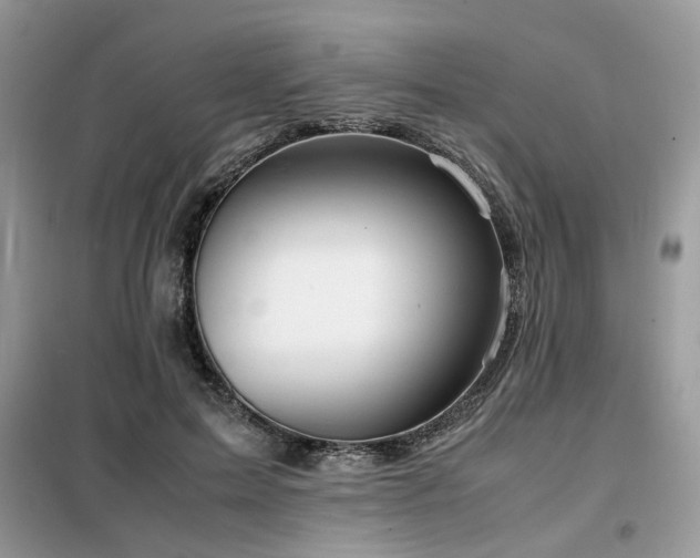 X0000099460599200805091530