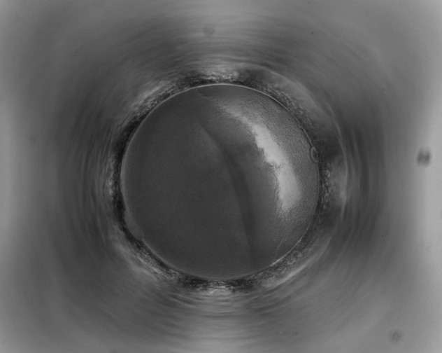 X0000099460600200805091530