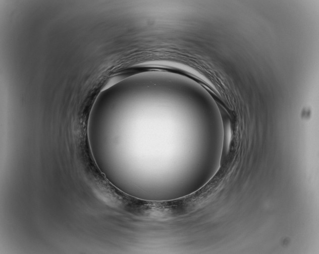 X0000099460601200805091530