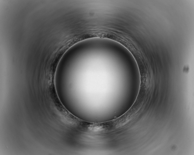 X0000099460602200805091530
