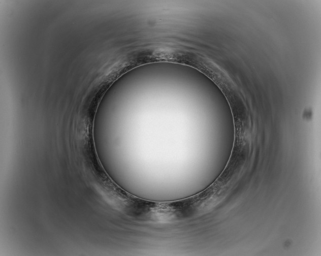 X0000099460603200805091530