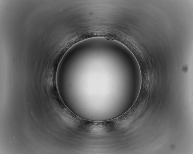 X0000099460604200805091530