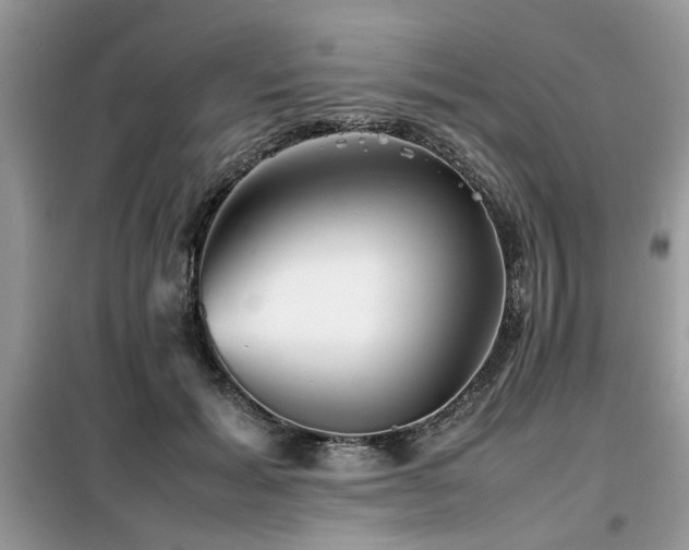 X0000099460605200805091530