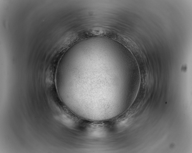 X0000099460606200805091530