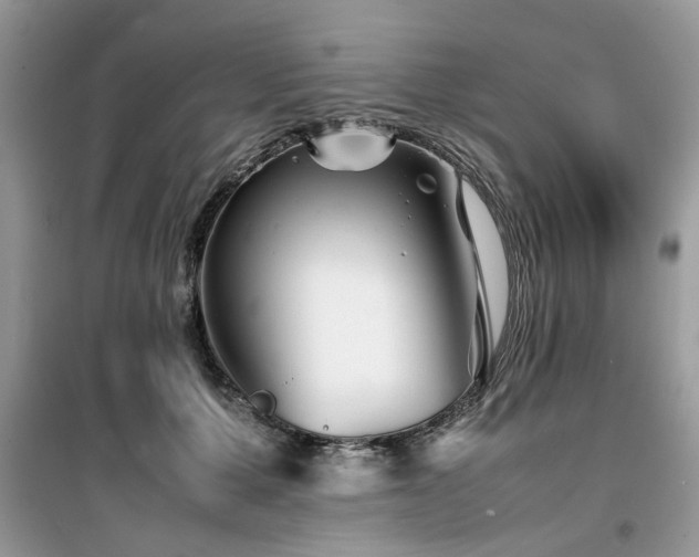 X0000099460607200805091530