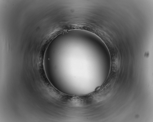 X0000099460608200805091530
