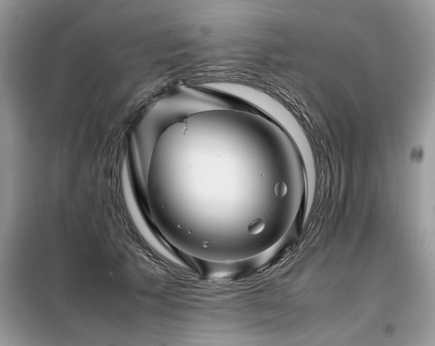 X0000099460609200805091530