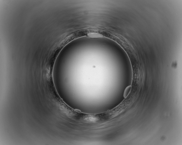 X0000099460610200805091530