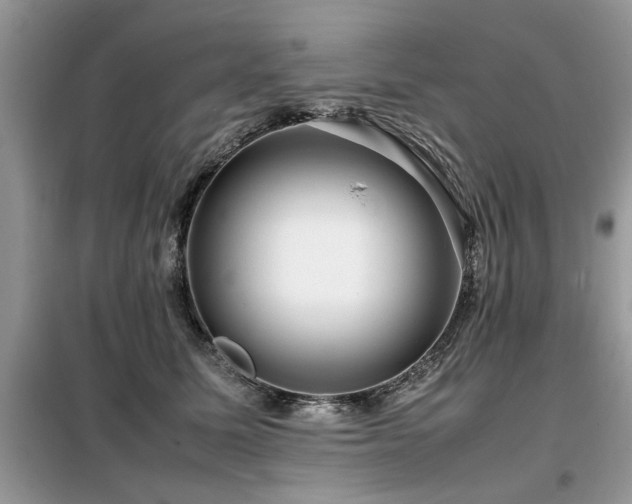 X0000099460611200805091530